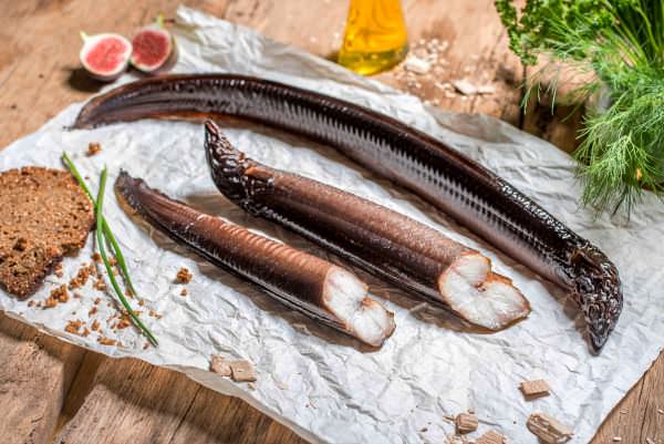 Fischkiste Störtebeker